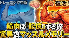 筋トレして筋肉ついてもやめたら元通りしぼむなら意味なくね？
