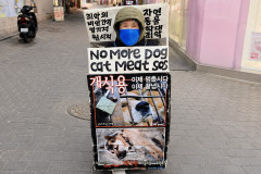 韓国で犬食禁止法が来年施行、食用目的で飼育されていた多くの犬の行方分からず―仏メディア
