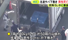 大量の“冷凍サバ”の下敷きに…水産会社で1箱約20kgのサバが入った50箱の山が崩れる 荷下ろし中の40代くらいの作業員の男性死亡 名古屋市(動画あり)