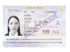 【悲報】日本人さん「海外旅行したくない」←過半数超えるｗｗｗｗｗｗｗｗｗｗ