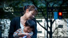 【困惑】シングルマザーさん、息子の思春期対応で悩んでしまう・・・・・・・・・