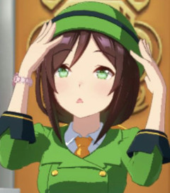 【ウマ娘】どうしてたづなさんは頑なにウマ娘を隠しているのだろうか