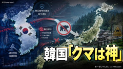 【winwin】クマを「神」とあがめる韓国、日本のクマ問題に「輸入できないか」の声ｗｗｗｗ