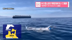 【驚愕】外国人、津軽海峡泳いで横断チャレンジに挑んだ結果ｗｗｗｗｗ