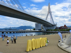 8月に福岡旅行、青森旅行 行くならどっち