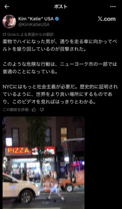 【動画】ニューヨークシティ🗽　もうめちゃくちゃ