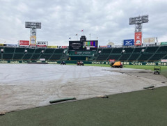 甲子園の阪神-広島戦が雨天中止