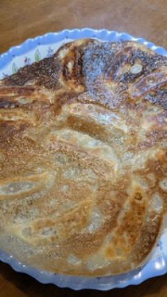 冷凍餃子焼いたよ（※画像あり）