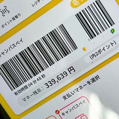 【悲報】　大学生さん、「車学代33万円」を謎の電子マネーに変換してしまい詰む…………………………
