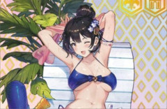 「ブラウンダスト2」のトレカ、えちえち過ぎて黒塗りｗｗｗｗｗｗｗｗｗ