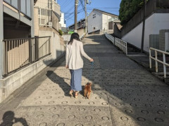 ワイ、彼女(141cm)との結婚を悩む