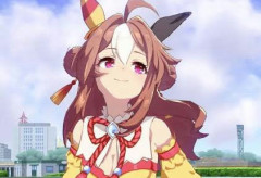 【ウマ娘】結局勝負服は北半球が一番好きかもしれない