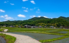 【田舎・人生】息子から絶縁されてしまって関係を回復したいのですがいい方法はありませんか？