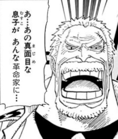 【ワンピース】息子が革命家に…