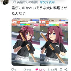 【ウマ娘】このかわいそうな犬に料理させたのは誰だ…？