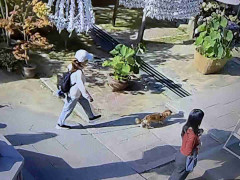 「あまりにも非常識」　犬連れ参拝客の行動に怒りの声　1300年以上続く寺が指摘する呆れた行動とは　「日本人のマナーも悪くなってきた？」