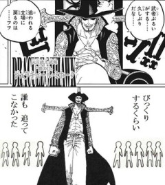 【ワンピース】ミホークとか相手にしたくねぇよ…