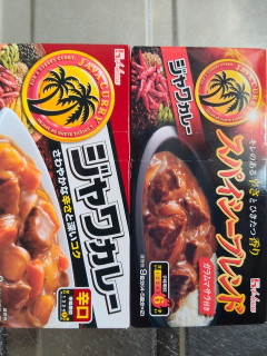 【画像】今日使うカレーのルーはこの２つやで！！