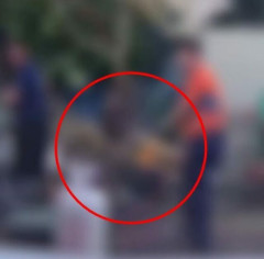 韓国で生きた犬を火あぶり、違法食肉解体で男2人を告訴…清州の動物保護団体が厳罰求める［7/5］