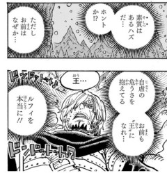 【悲報】ワンピース、設定を盛りすぎてヤバいことになるwwwwww