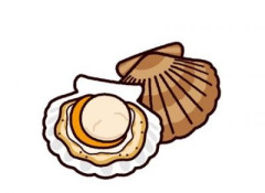 【画像】帆立とかいう歩く完全食、レベチｗｗｗｗｗｗｗｗｗｗ