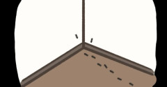 【悲報】部屋に小さいアリがたくさん湧いてるんだが何が原因や！？