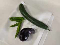 【画像】プランター家庭菜園俺、収穫するｗｗｗｗｗｗｗ