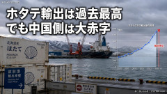 【自爆ｗ】中国のホタテ輸入規制により輸出量が過去最高水準、中国の水産加工業者だけ大赤字。次はレアアースか
