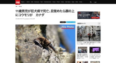 【カナダ】寝てた少年、顔にコウモリがとまる→狂犬病にかかり死亡