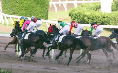 子供が生まれたばかりなのに、夫が競走馬を買った・・・