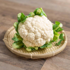 【爆笑】ギリ下ネタに聞こえないものｗｗｗｗｗｗｗｗｗｗ