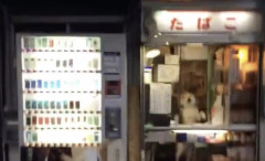 【動画】イッヌさん、大歓迎モードに入るｗｗｗｗｗｗｗｗｗｗ