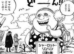 【ワンピース】その辺に捨てた強者