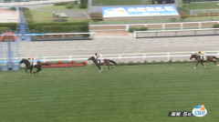 【日曜函館5R新馬戦】ショウナンガレオン&鮫島克駿騎手がキタ━━━━(゚∀゚)━━━━!!
