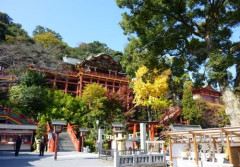 【悲報】僧侶見習いさん、修行に耐えきれず寺に放火してしまう