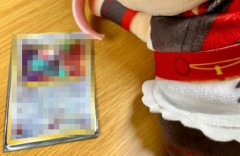 人気VTuber「押入れの整理してたらポケモンカードが出てきた！今だと結構レアだったりする？」→価格を調べた結果・・・