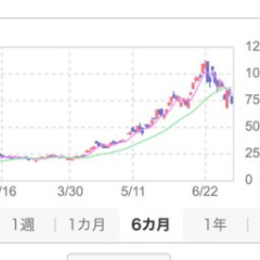 【悲報】キオクシア株さん、今日も元気に－9000円