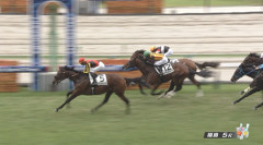 【日曜福島5R新馬戦】エスクアドラ＆坂井騎手がｷﾀ━━━━(ﾟ∀ﾟ)━━━━!!