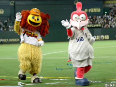 少し前のプロ野球「巨人と日ハムが同じ球場を本拠地にしてました」←これ