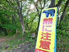 箱罠にかかったツキノワグマを許可なく捕獲か　84歳と64歳の男2人を逮捕