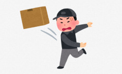 X民「こんな事があっていいのか。宅配業者が蝶の標本箱のガラスが割れた状態で届けやがった」
