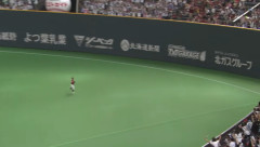 サヨナラタイムリーで打球抜けて外野手が追うの諦めるシーンってさ