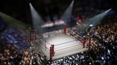 【悲報】JKでもギリギリ知ってそうなプロレスラー