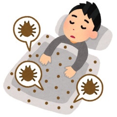 ダニとかじゃないんだけど布団ってずっと使ってると入った時に体痒くなってこない？