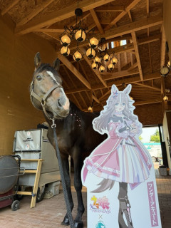 【ウマ娘】観光地レベルで気合い入れてる牧場ってどこ？