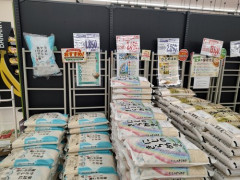 【朗報】米価限界突破