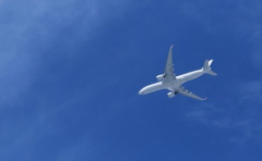 【育児・教育】子供「パパ～飛行機ってなんでお空飛べるの～？」　低学歴パパ「パパにもわからん！ガハハ！」