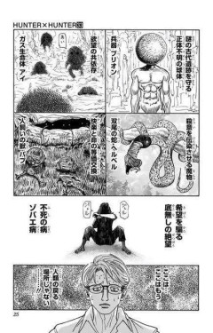 【朗報】ハンターハンター全盛期の1ページ、ガチで漫画史上一番ワクワクさせられるｗｗｗｗ