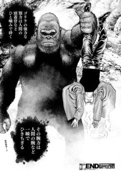【悲報】ゴリラさん、顔SSS体格SパワーSスピードSやさしさSなのに天下を取れないｗｗｗｗｗｗｗｗｗｗ