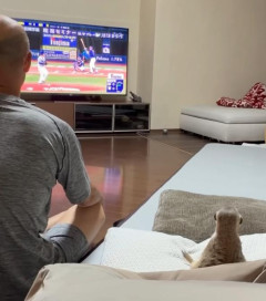 【動画】和田一浩さん、ミーアキャットと中日戦を観戦